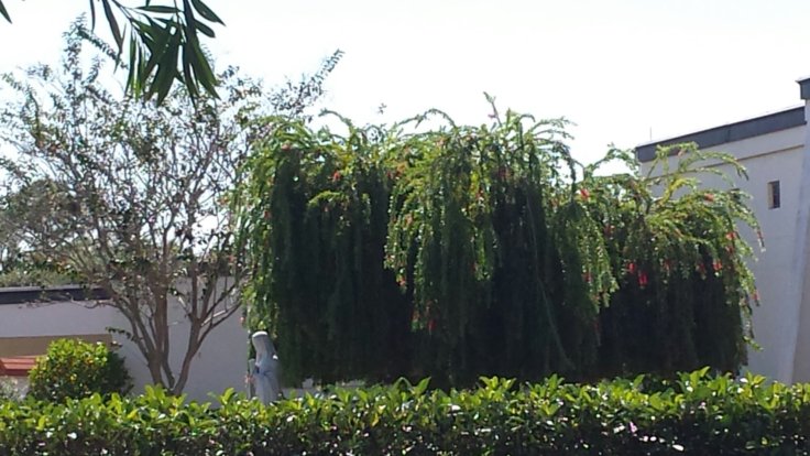 20131020_122025.jpg image